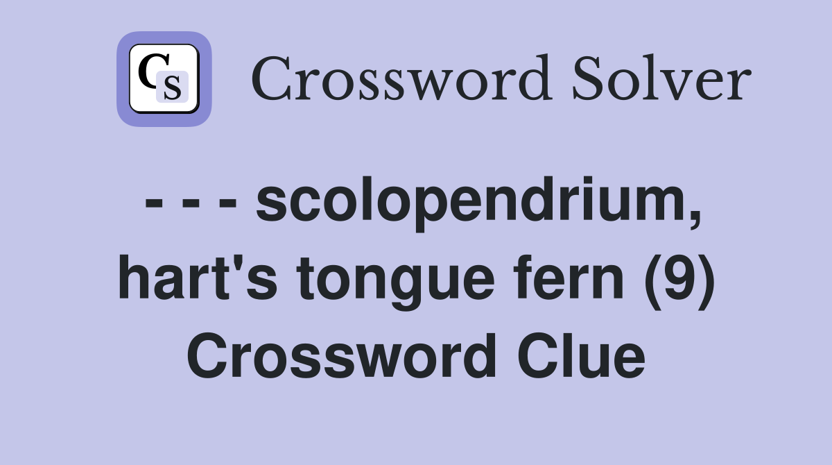 - - - scolopendrium, hart's tongue fern (9) Crossword Clue