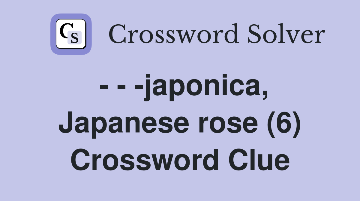 - - -japonica, Japanese rose (6) Crossword Clue