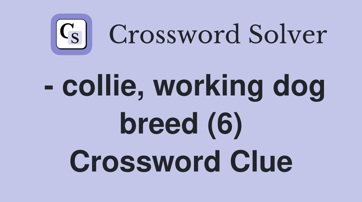 - collie, working dog breed (6) Crossword Clue