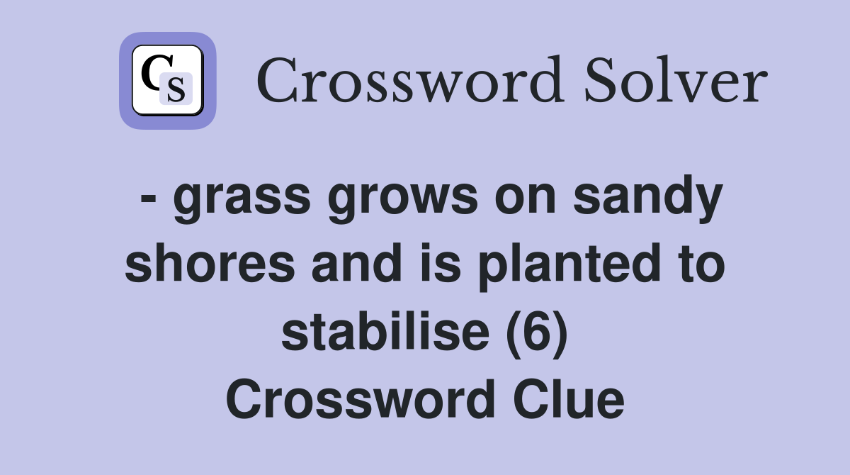 - grass grows on sandy shores and is planted to stabilise (6) Crossword Clue