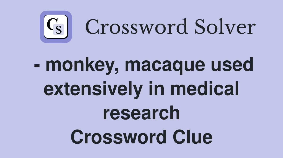 - monkey, macaque used extensively in medical research Crossword Clue