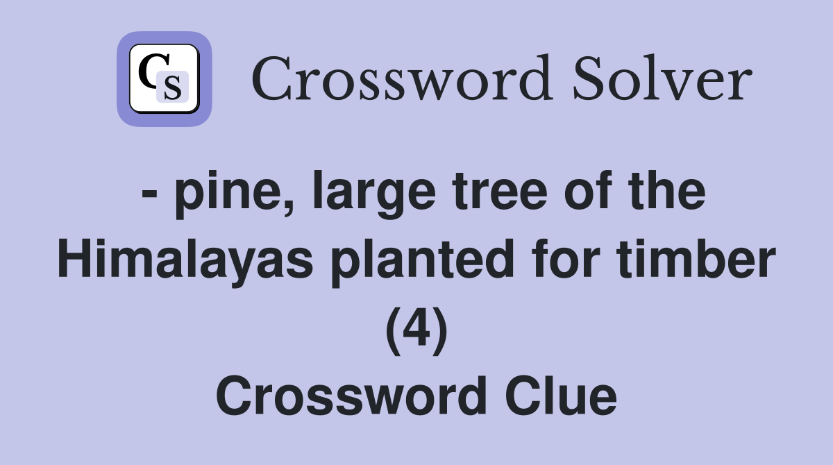 - pine, large tree of the Himalayas planted for timber (4) Crossword Clue
