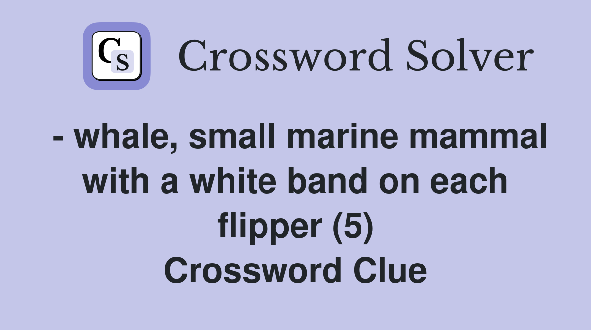 - whale, small marine mammal with a white band on each flipper (5) Crossword Clue