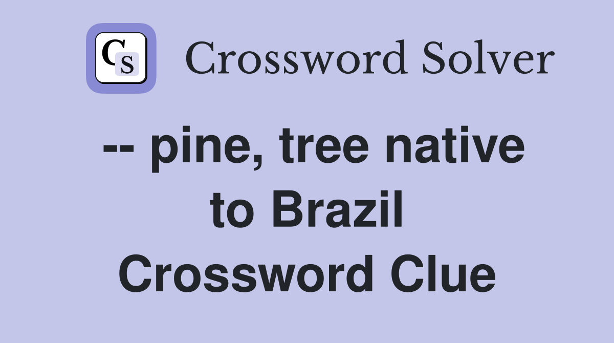 -- pine, tree native to Brazil Crossword Clue
