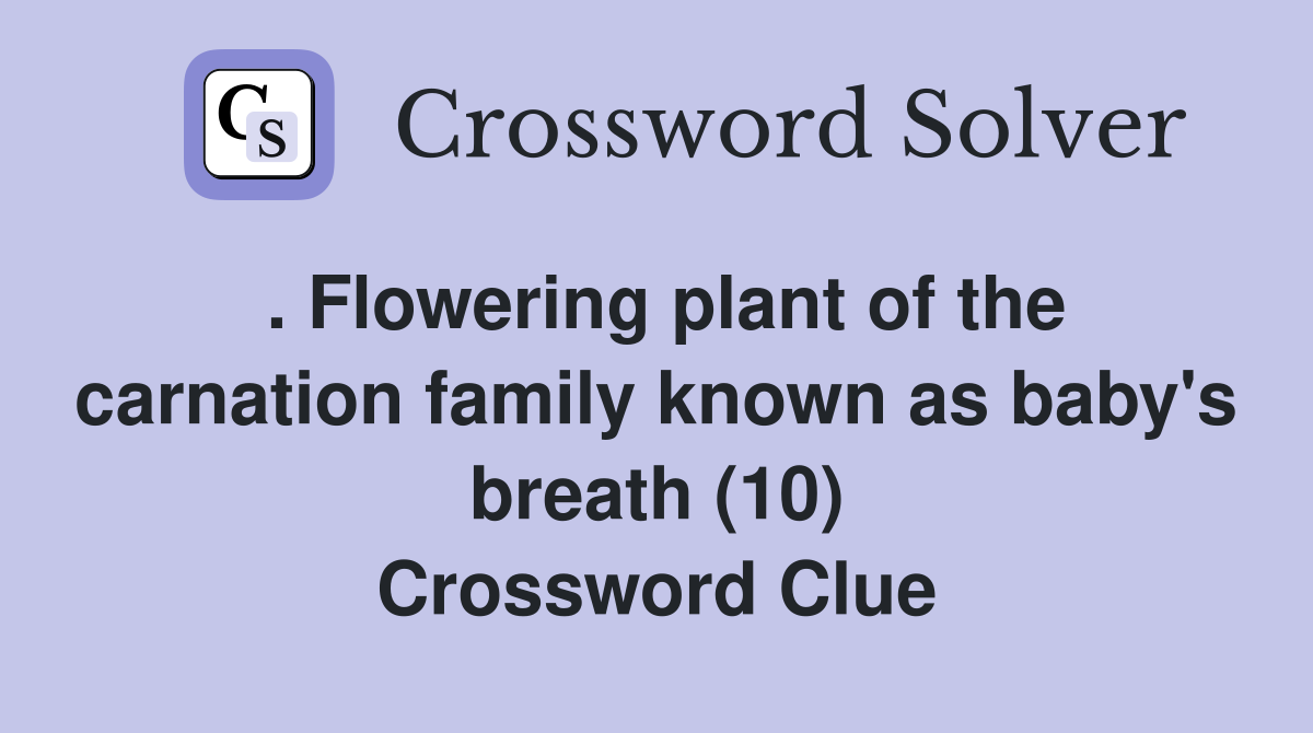 . Flowering plant of the carnation family known as baby's breath (10) Crossword Clue