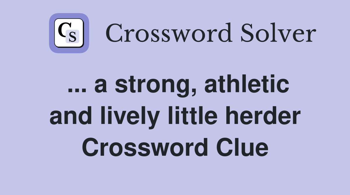 ... a strong, athletic and lively little herder Crossword Clue