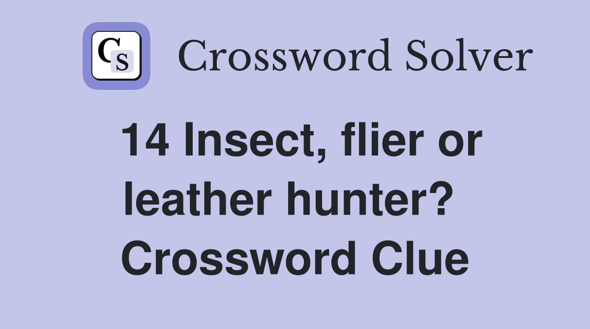 14 Insect, flier or leather hunter?  Crossword Clue