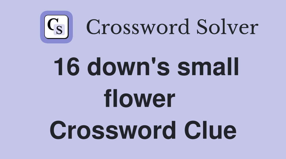 16 down's small flower  Crossword Clue