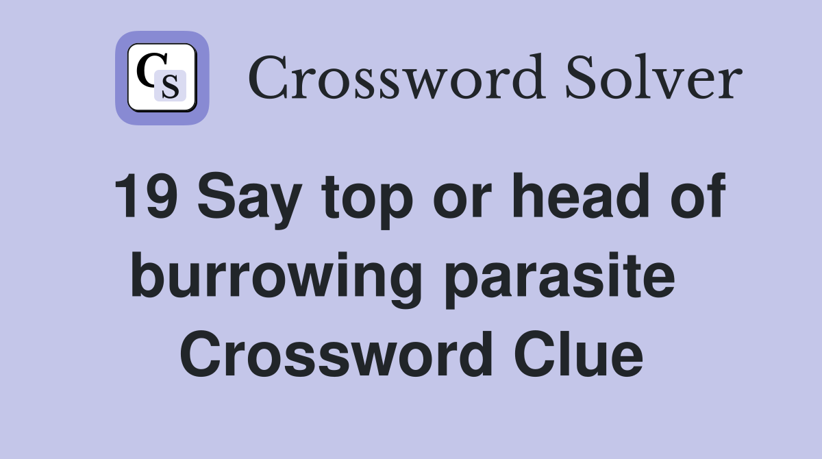 19 Say top or head of burrowing parasite  Crossword Clue
