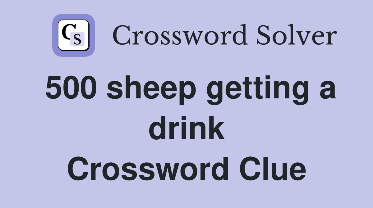 500 sheep getting a drink Crossword Clue