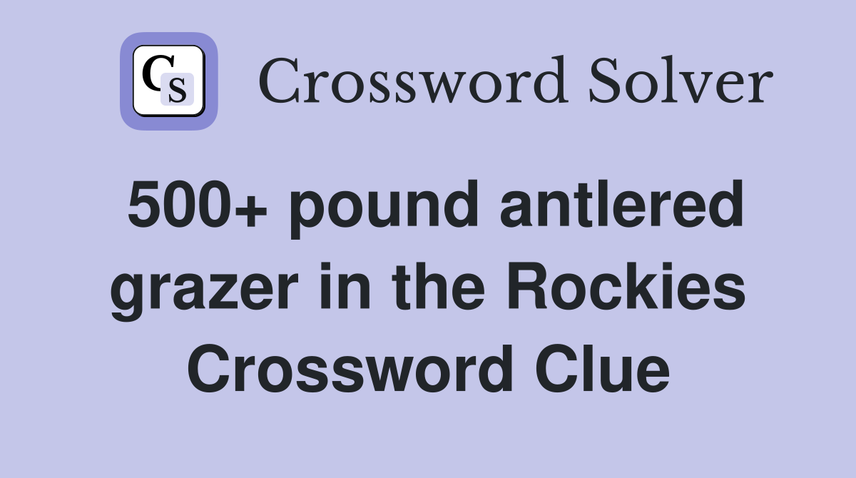 500+ pound antlered grazer in the Rockies Crossword Clue
