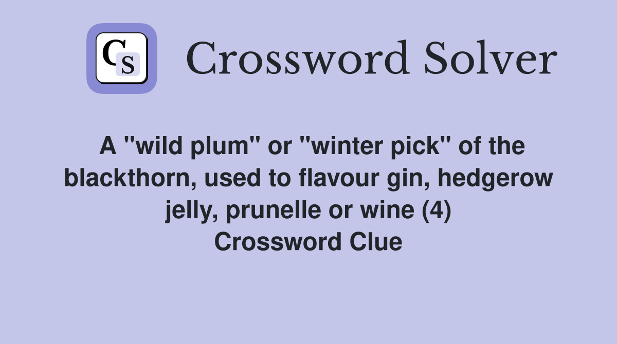 A "wild plum" or "winter pick" of the blackthorn, used to flavour gin, hedgerow jelly, prunelle or wine (4) Crossword Clue