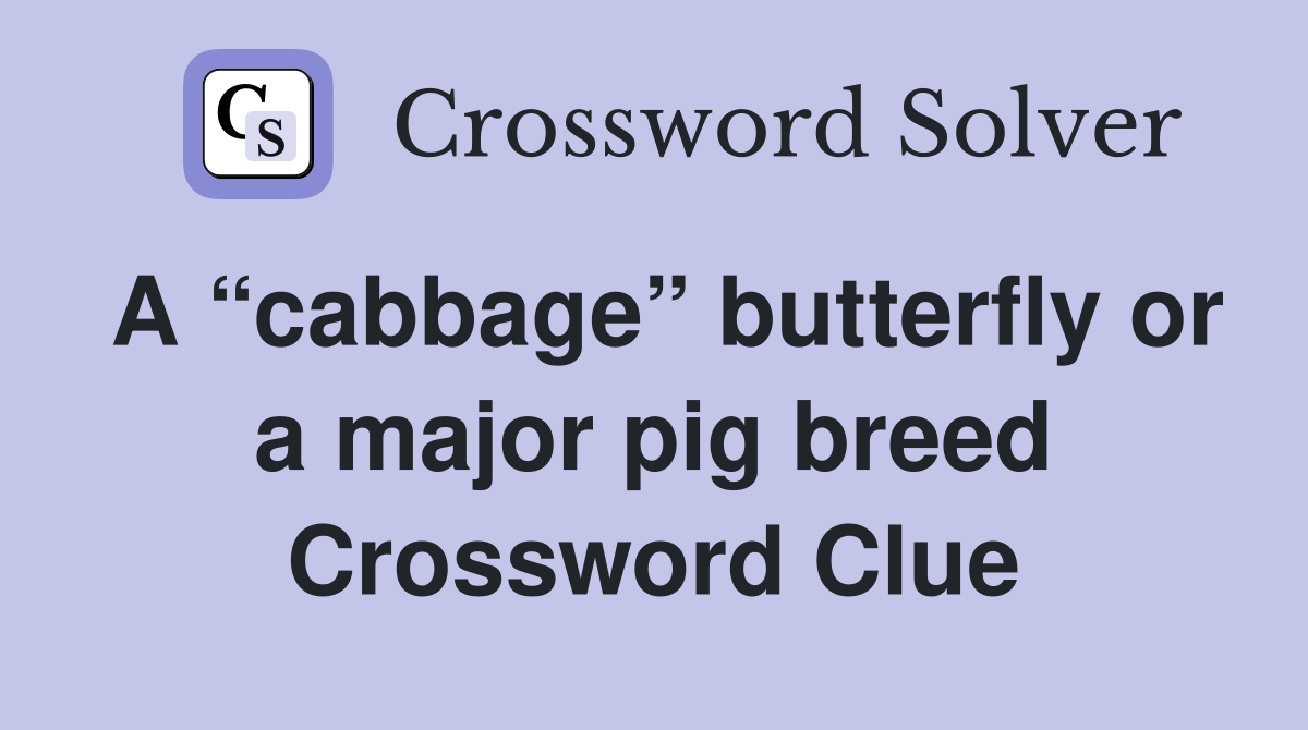 A “cabbage” butterfly or a major pig breed Crossword Clue