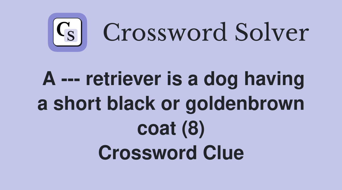 A --- retriever is a dog having a short black or goldenbrown coat (8) Crossword Clue