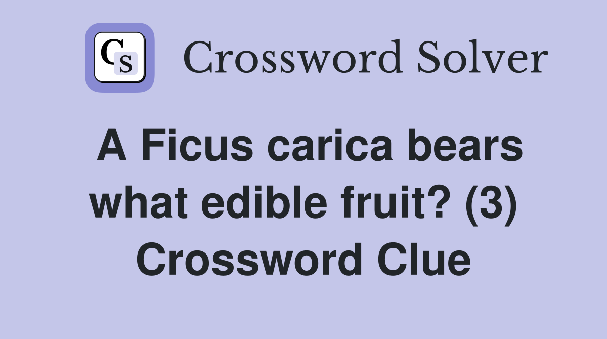 A Ficus carica bears what edible fruit? (3) Crossword Clue