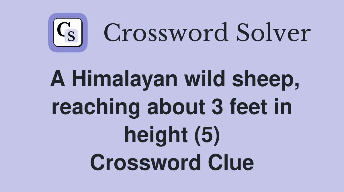 A Himalayan wild sheep, reaching about 3 feet in height (5) Crossword Clue