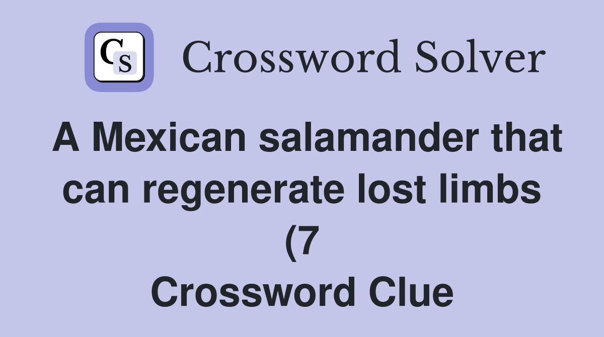 A Mexican salamander that can regenerate lost limbs (7) Crossword A Mexican salamander that can regenerate lost limbs (7) Crossword