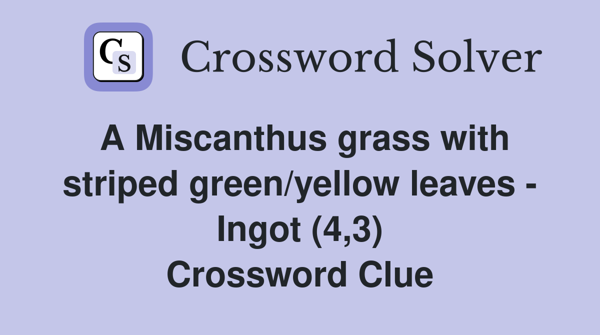A Miscanthus grass with striped green/yellow leaves - Ingot (4,3) Crossword Clue