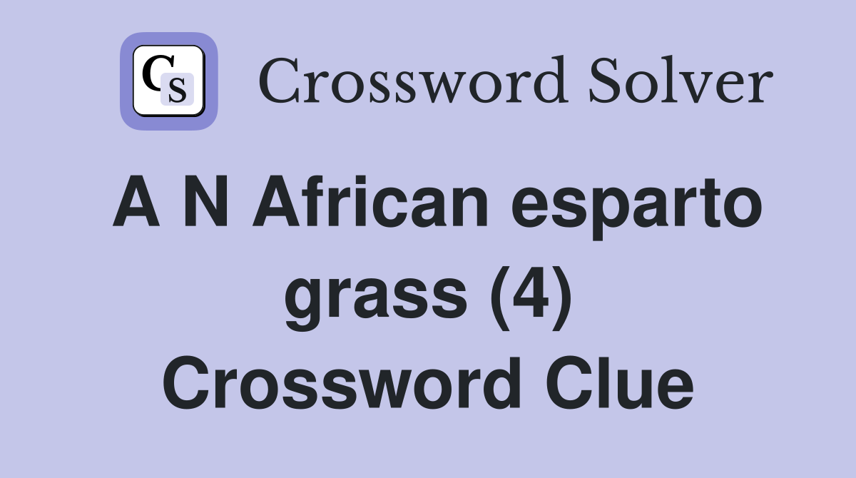 A N African esparto grass (4) Crossword Clue