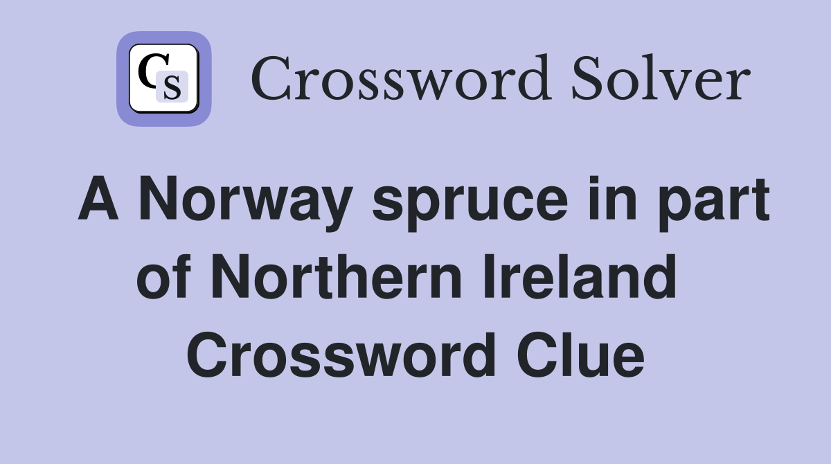 A Norway spruce in part of Northern Ireland  Crossword Clue