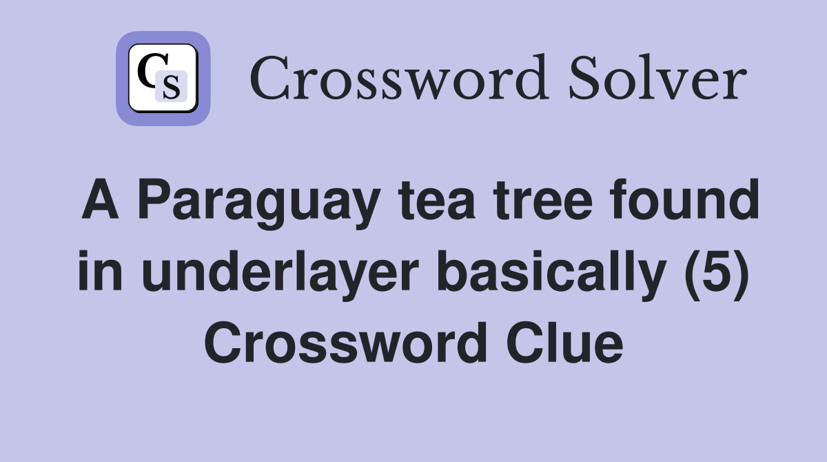 A Paraguay tea tree found in underlayer basically (5) Crossword Clue