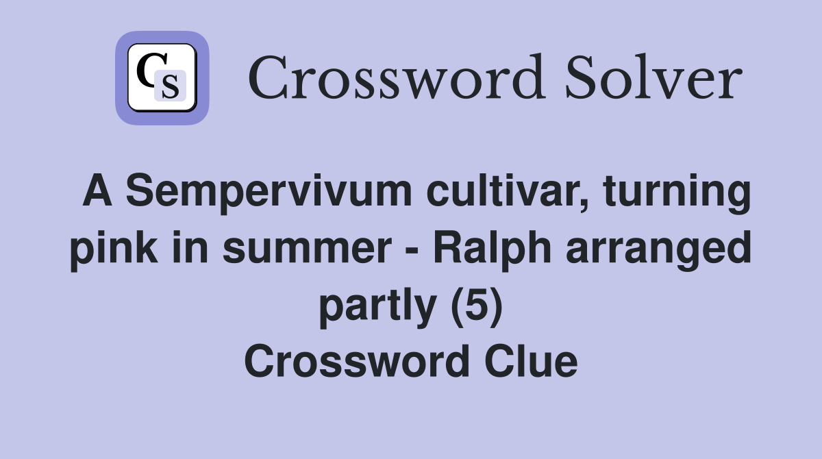 A Sempervivum cultivar, turning pink in summer - Ralph arranged partly (5) Crossword Clue