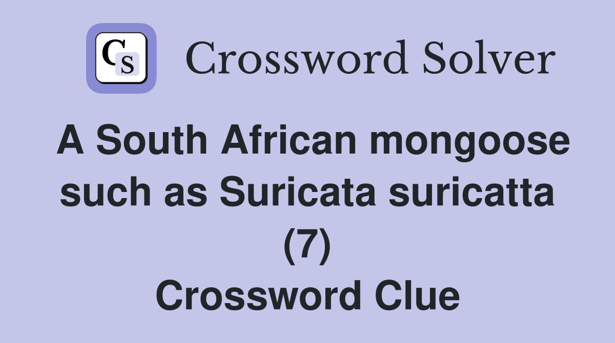 A South African mongoose such as Suricata suricatta (7) Crossword Clue