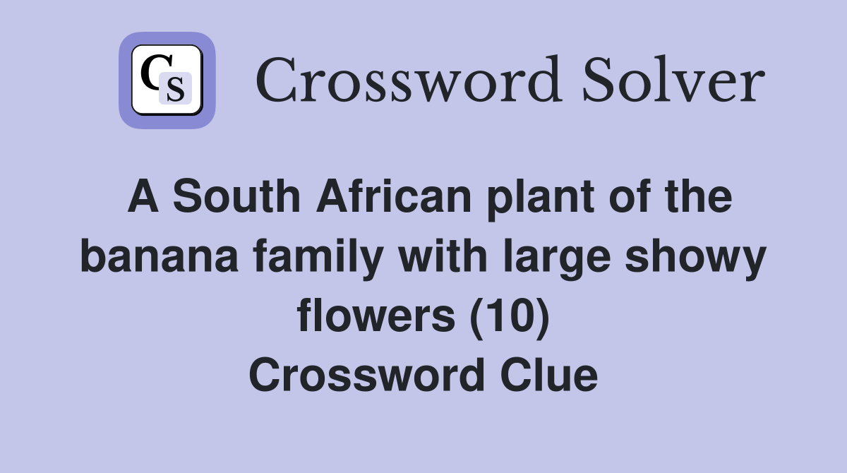 A South African plant of the banana family with large showy flowers (10) Crossword Clue