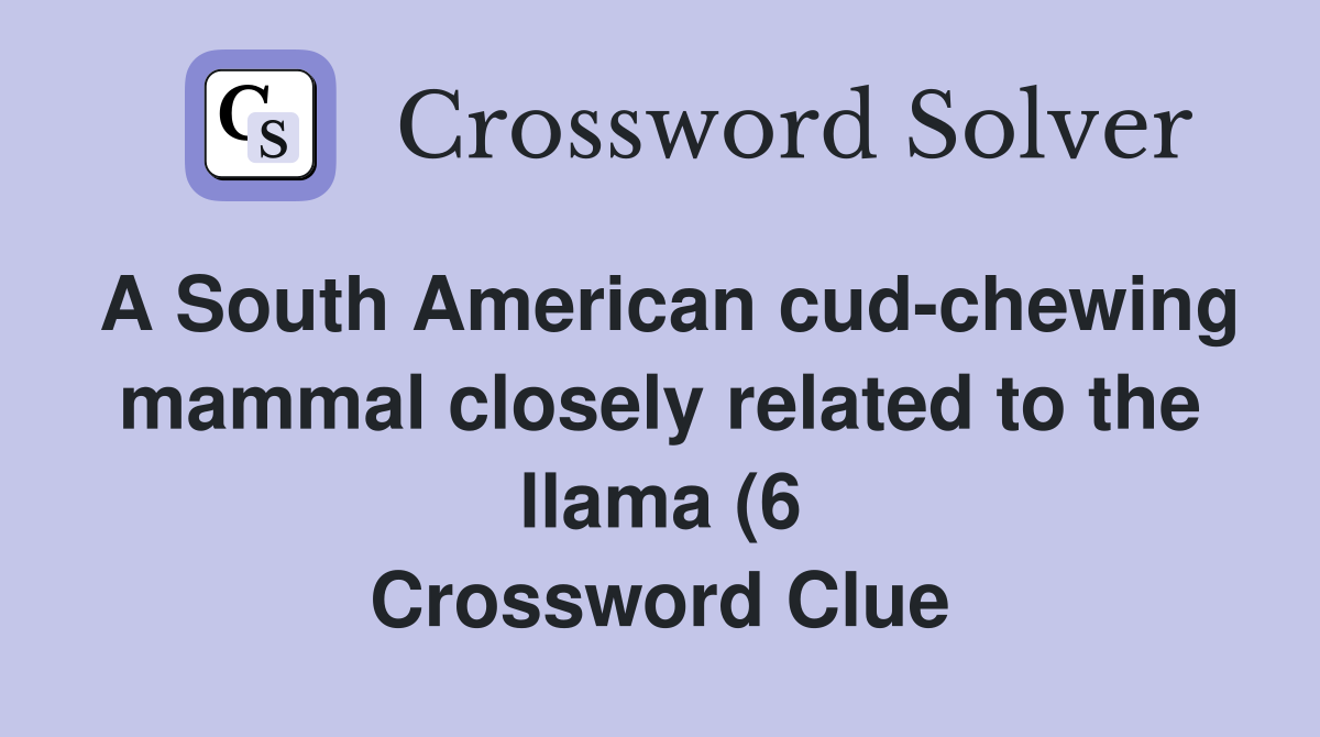 A South American cud chewing mammal closely related to the llama (6 A South American cud chewing mammal closely related to the llama (6