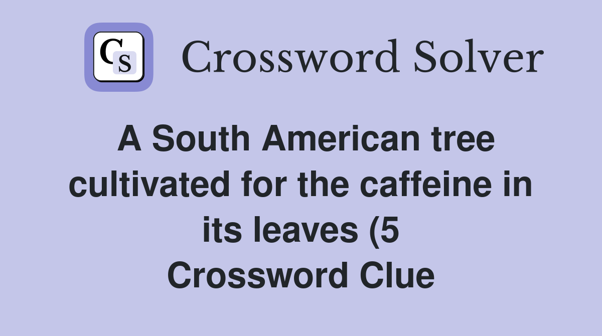 A South American tree cultivated for the caffeine in its leaves (5 A South American tree cultivated for the caffeine in its leaves (5