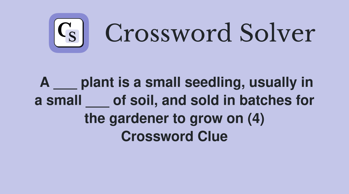 A ___ plant is a small seedling, usually in a small ___ of soil, and sold in batches for the gardener to grow on (4) Crossword Clue