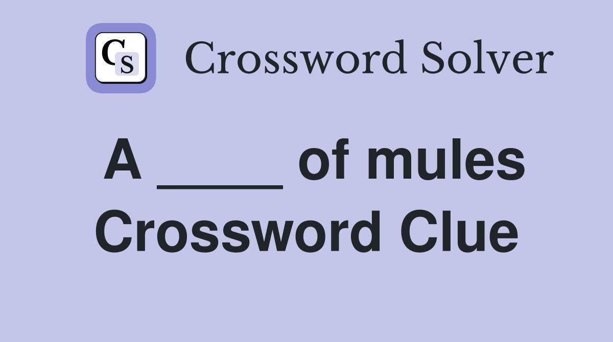 A ____ of mules Crossword Clue