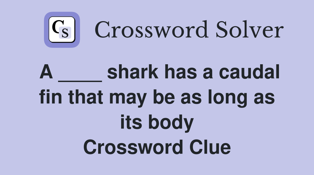 A ____ shark has a caudal fin that may be as long as its body Crossword Clue