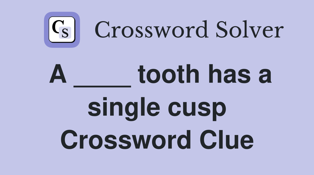 A ____ tooth has a single cusp Crossword Clue