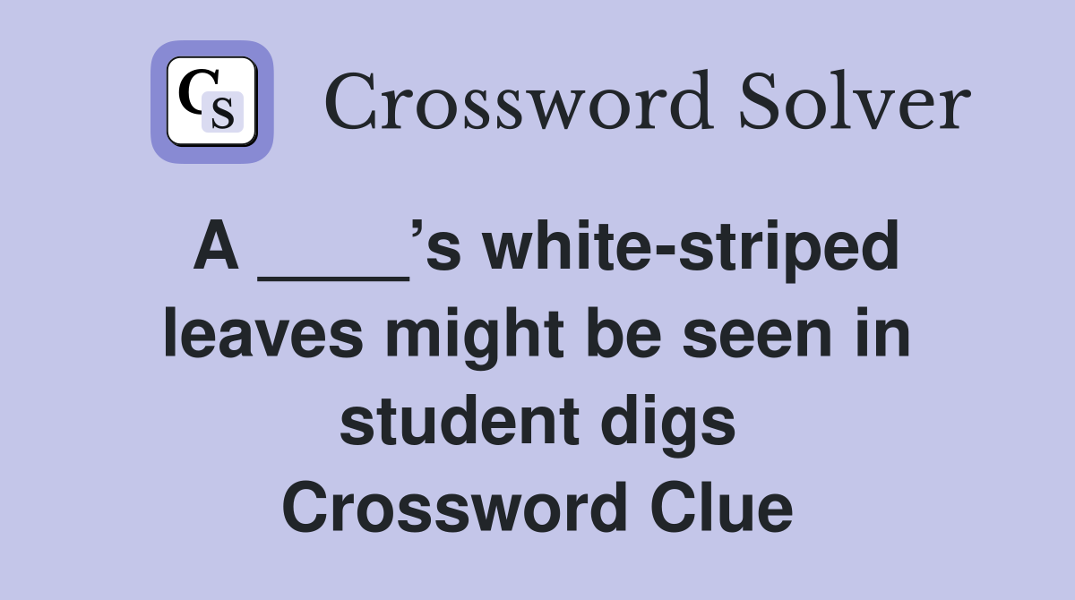 A ____’s white-striped leaves might be seen in student digs Crossword Clue