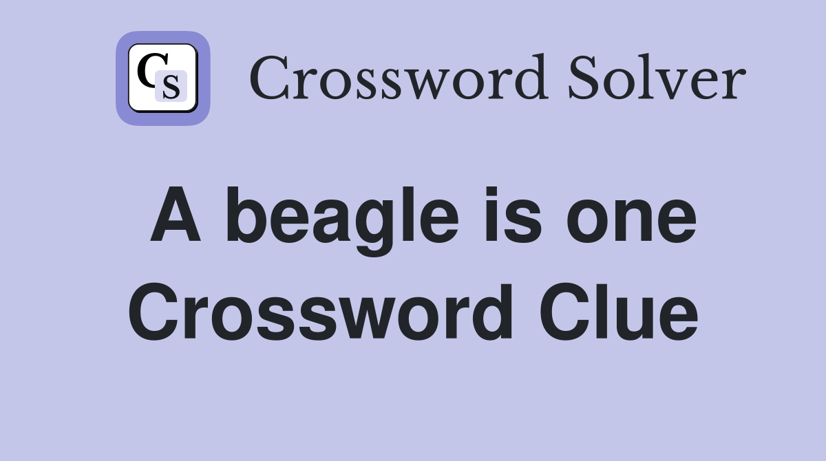 A beagle is one Crossword Clue