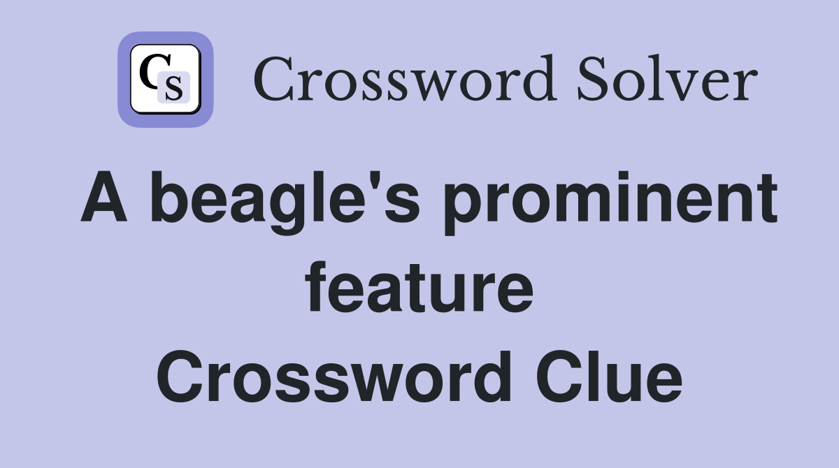 A beagle's prominent feature Crossword Clue