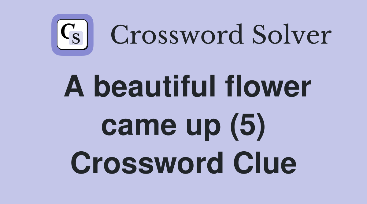 A beautiful flower came up (5) Crossword Clue