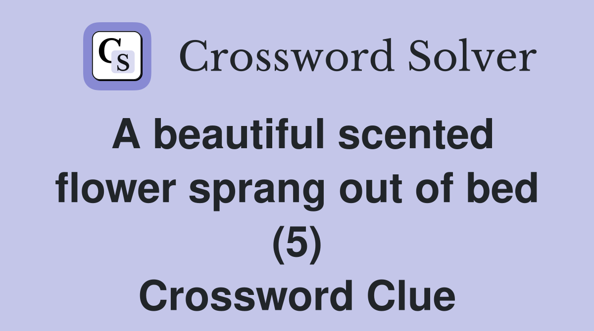 A beautiful scented flower sprang out of bed (5) Crossword Clue