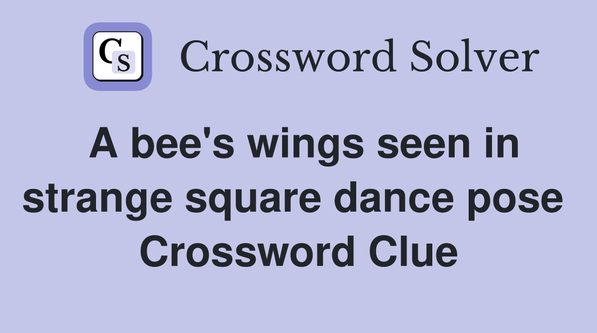 A bee's wings seen in strange square dance pose  Crossword Clue