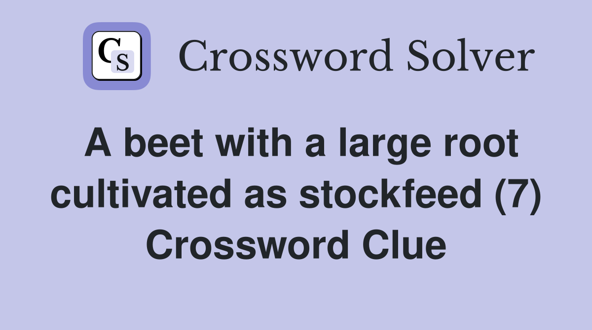 A beet with a large root cultivated as stockfeed (7) Crossword Clue