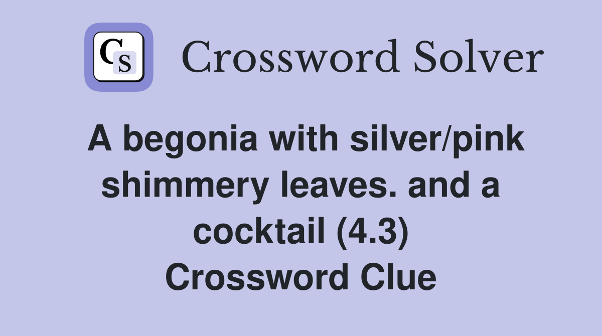 A begonia with silver/pink shimmery leaves. and a cocktail (4.3) Crossword Clue