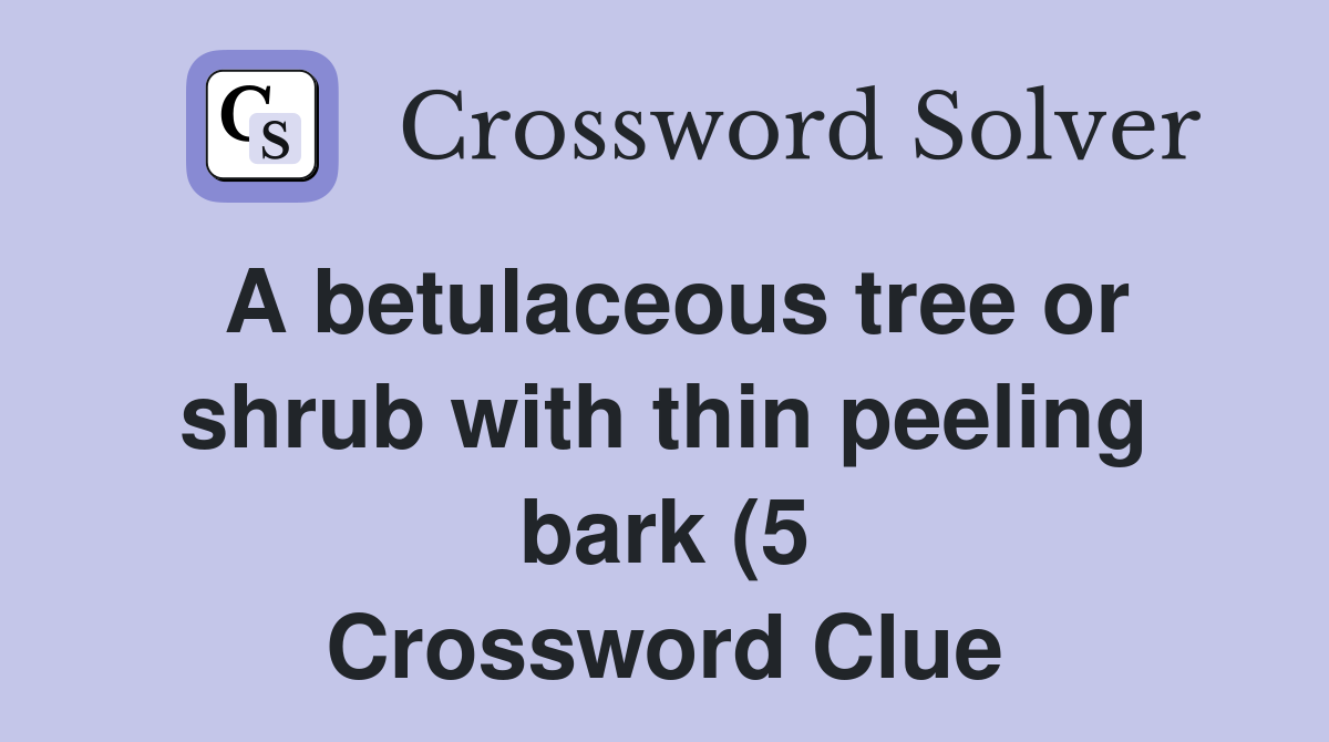 A betulaceous tree or shrub with thin peeling bark (5) Crossword Clue A betulaceous tree or shrub with thin peeling bark (5) Crossword Clue