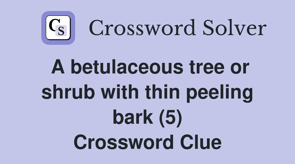 A betulaceous tree or shrub with thin peeling bark (5) Crossword Clue
