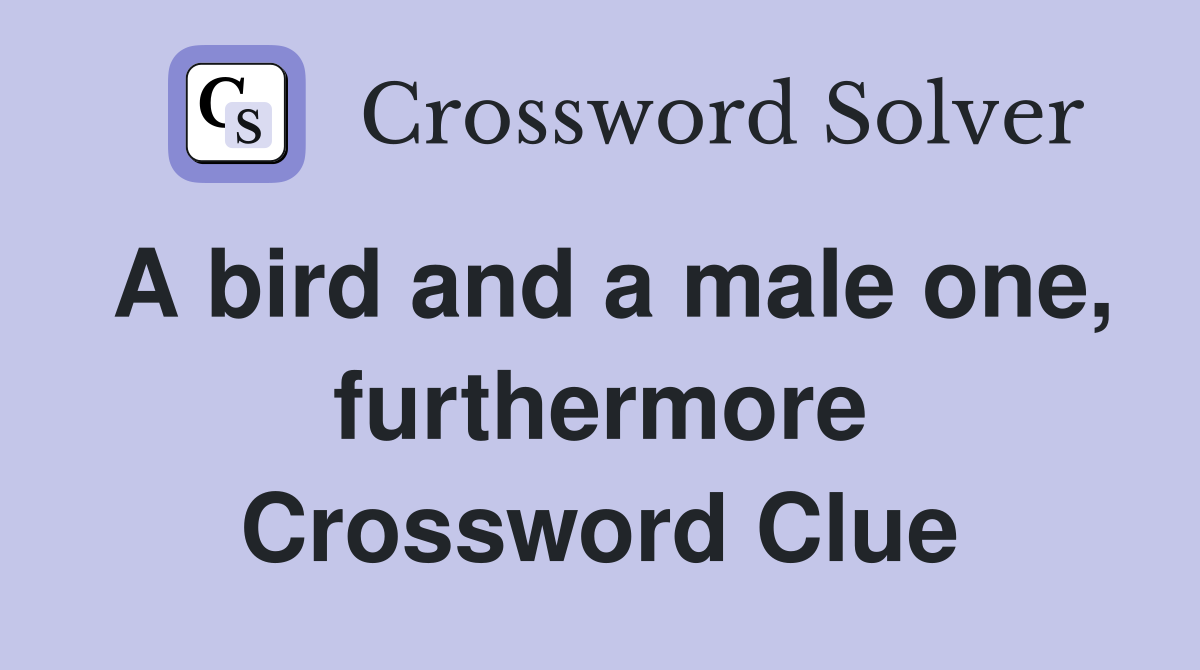A bird and a male one, furthermore Crossword Clue
