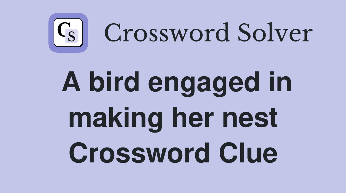 A bird engaged in making her nest Crossword Clue
