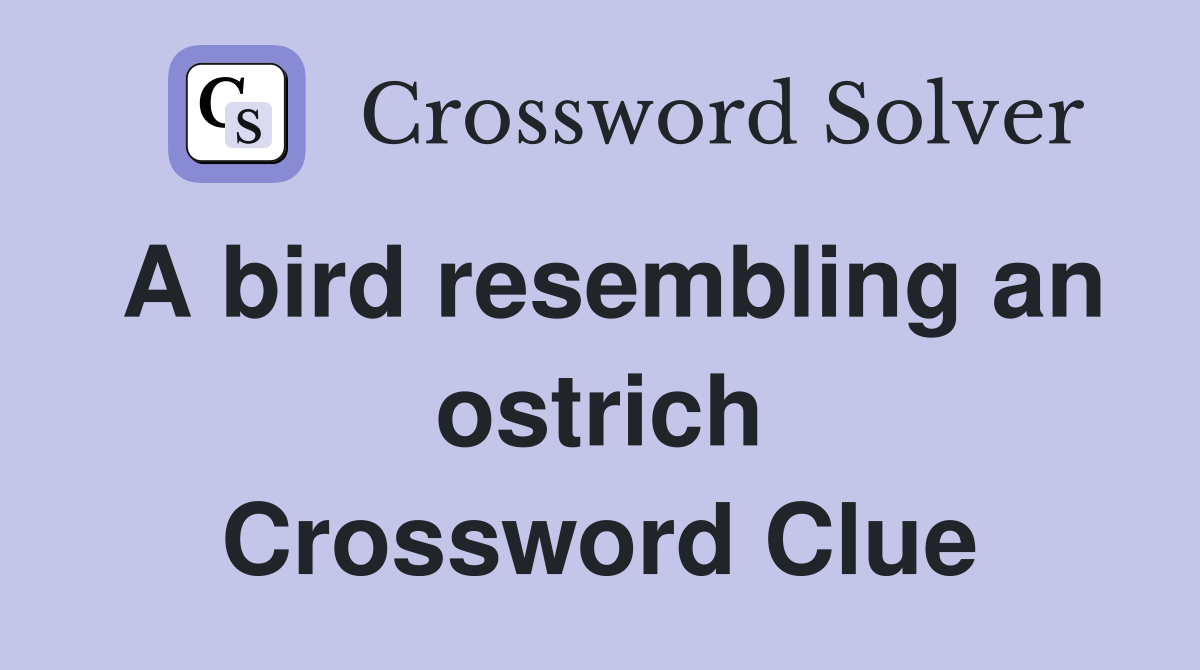 A bird resembling an ostrich Crossword Clue