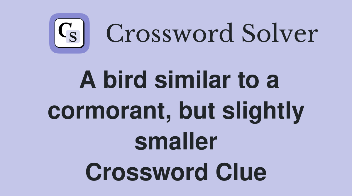 A bird similar to a cormorant, but slightly smaller Crossword Clue