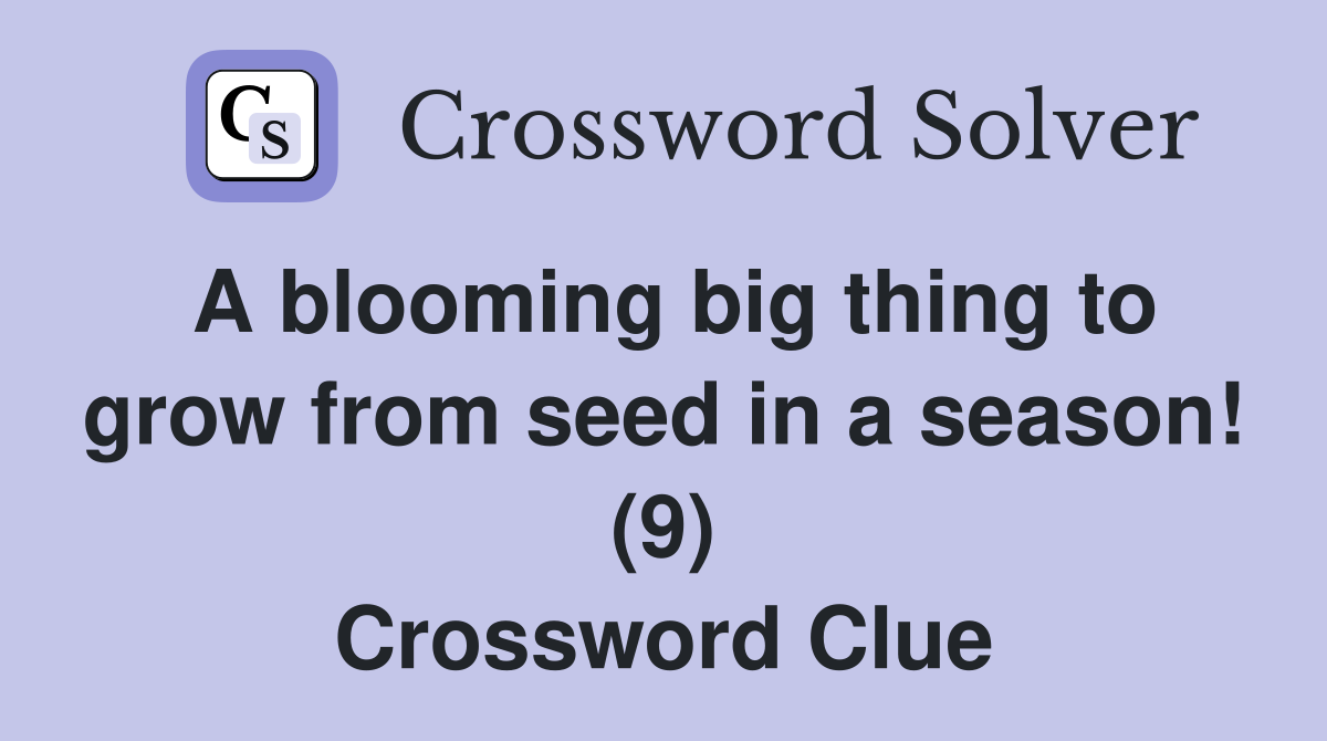 A blooming big thing to grow from seed in a season! (9) Crossword Clue