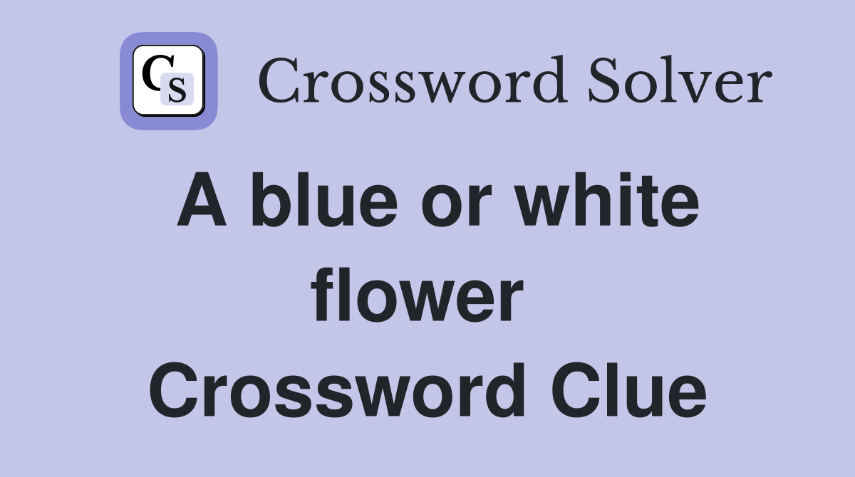 A blue or white flower  Crossword Clue